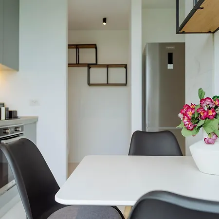 One Mircea Eliade Apartments With City & Park Views 公寓